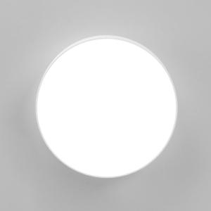 Светильник потолочный Тао CL712180N