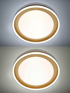 Светильник потолочный Led Lamps LED LAMPS 81301