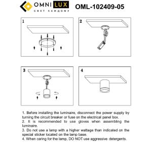 Накладной светильник Capurso OML-102409-05