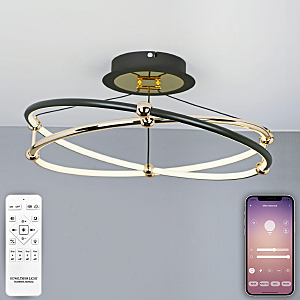 Потолочная люстра High-Tech Led Lamps HIGH-TECH LED LAMPS 82050