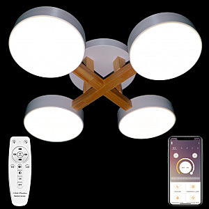 Потолочная люстра LED LED LAMPS 81329