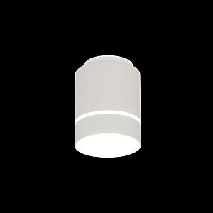 Накладной светильник Борн CL745010N