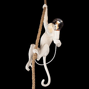 Светильник подвесной Monkey 10314P