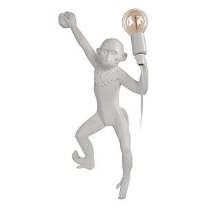 Настенный светильник Monkey 10314W/B