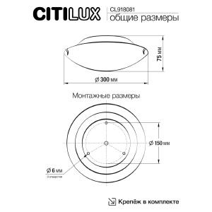 Настенно потолочный светильник Лайн CL918081