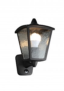 Уличный настенный светильник Colosso 1818-1W