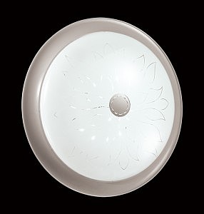 Настенно потолочный светильник Unika 2031/B