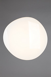 Светильник потолочный Campanedda OML-47507-60