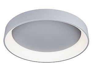 Светильник потолочный Ortueri OML-48517-96