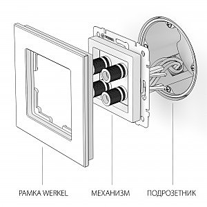 Розетка Werkel WL13-AUDIOx4 / Акустическая розетка (перламутровый рифленый)