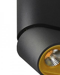 Накладной светильник Фергус 8005/3CS-BK-GD